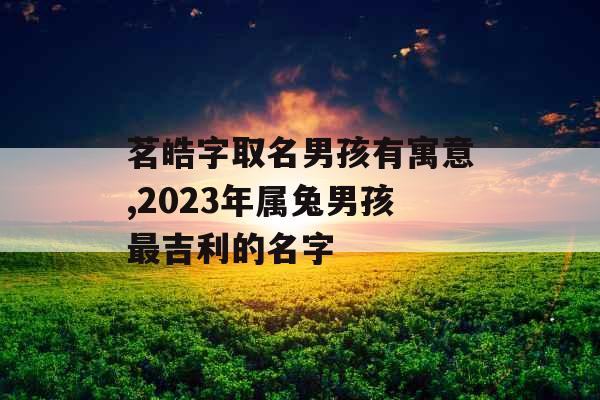 茗皓字取名男孩有寓意,2023年属兔男孩最吉利的名字