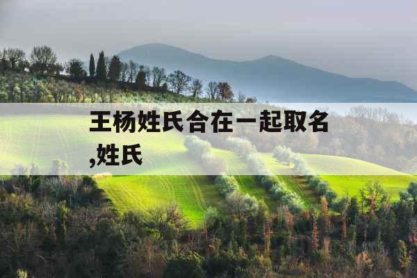 王杨姓氏合在一起取名,姓氏