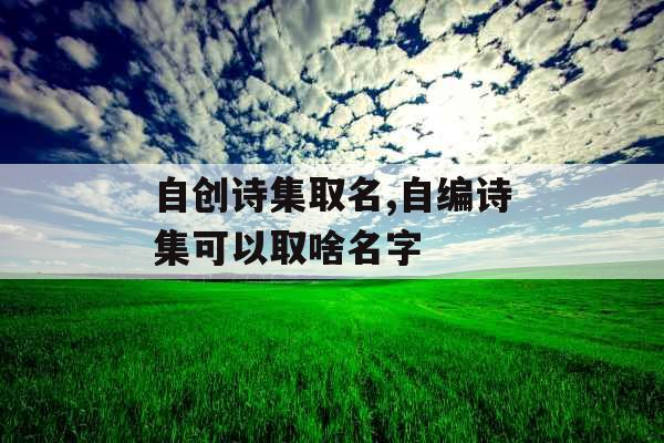 自创诗集取名,自编诗集可以取啥名字