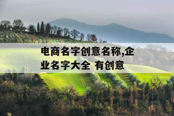 电商名字创意名称,企业名字大全 有创意
