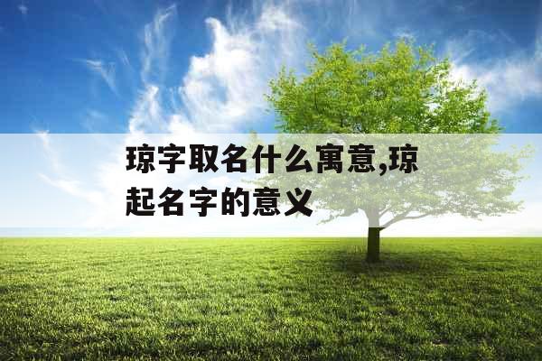 琼字取名什么寓意,琼起名字的意义
