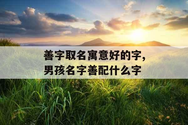 善字取名寓意好的字,男孩名字善配什么字