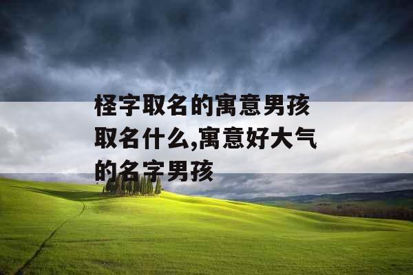 柽字取名的寓意男孩 取名什么,寓意好大气的名字男孩