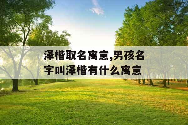 泽楷取名寓意,男孩名字叫泽楷有什么寓意