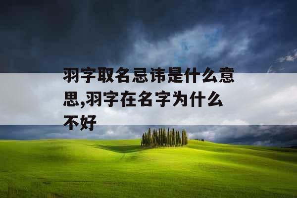 羽字取名忌讳是什么意思,羽字在名字为什么不好