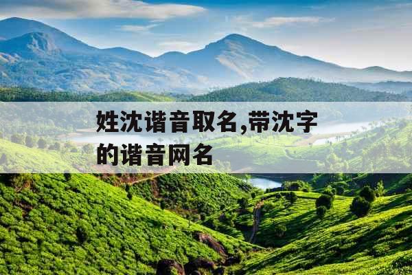 姓沈谐音取名,带沈字的谐音网名