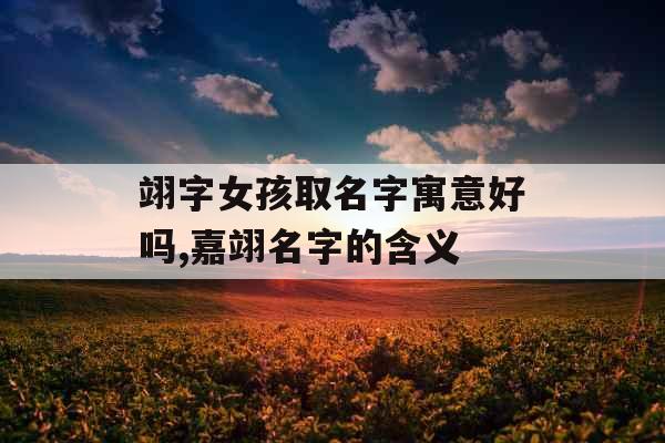 翊字女孩取名字寓意好吗,嘉翊名字的含义