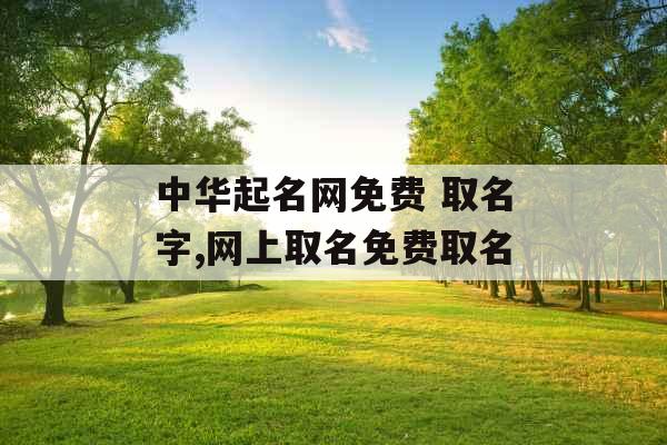 中华起名网免费 取名字,网上取名免费取名
