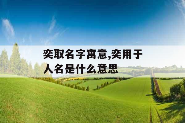 奕取名字寓意,奕用于人名是什么意思