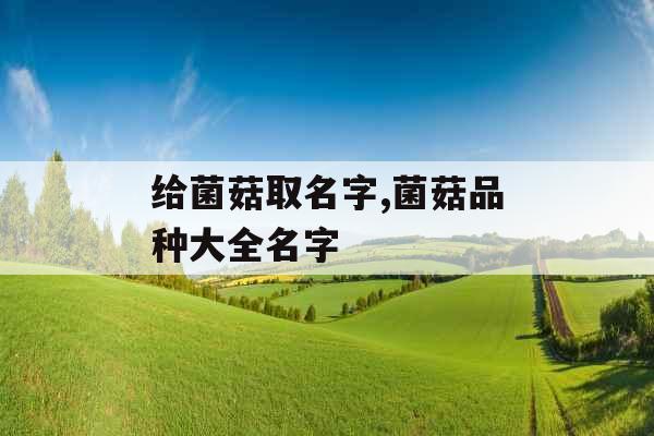 给菌菇取名字,菌菇品种大全名字