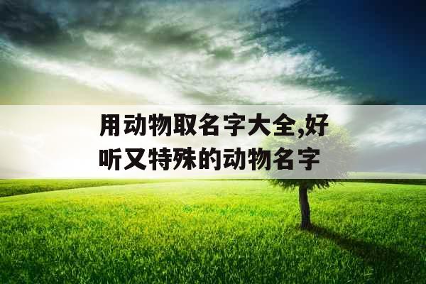用动物取名字大全,好听又特殊的动物名字