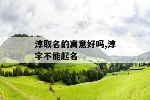 淳取名的寓意好吗,淳字不能起名