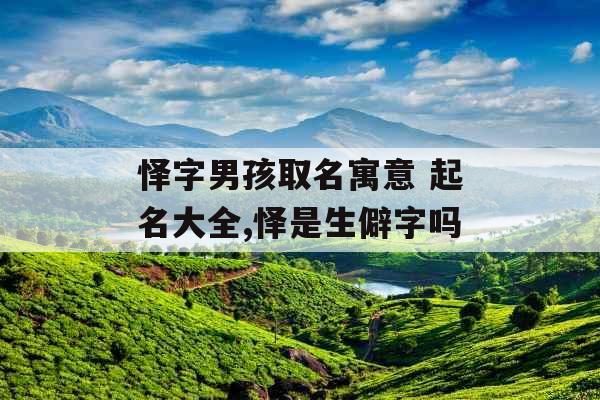 怿字男孩取名寓意 起名大全,怿是生僻字吗