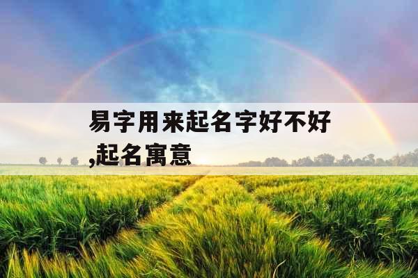 易字用来起名字好不好,起名寓意