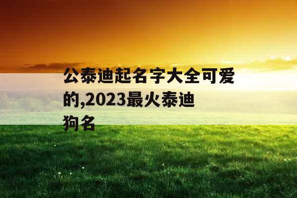 公泰迪起名字大全可爱的,2023最火泰迪狗名