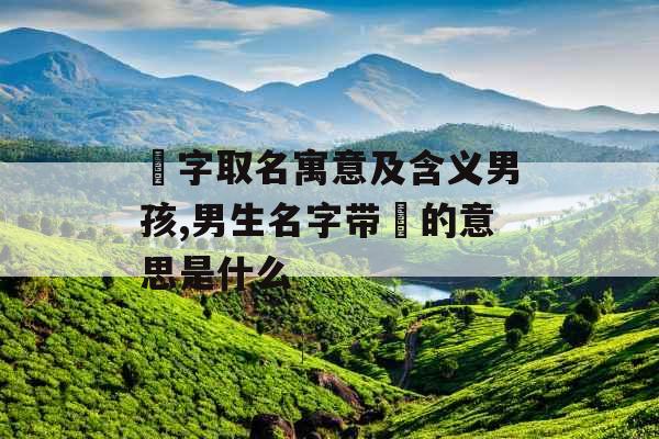 飏字取名寓意及含义男孩,男生名字带飏的意思是什么