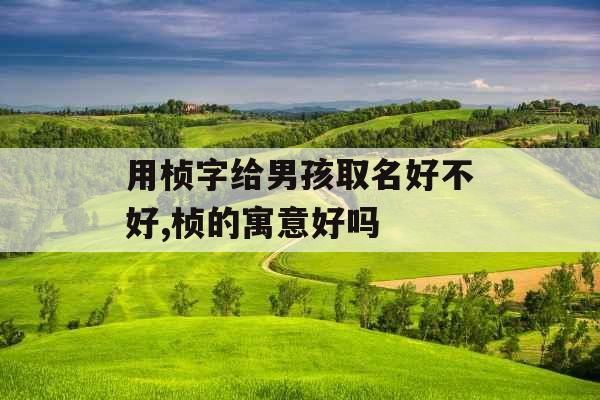 用桢字给男孩取名好不好,桢的寓意好吗