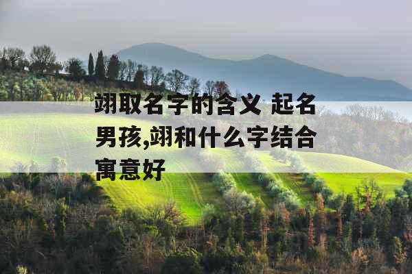 翊取名字的含义 起名男孩,翊和什么字结合寓意好