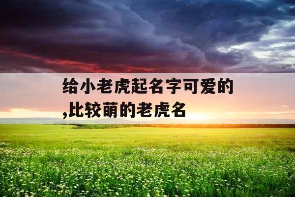 给小老虎起名字可爱的,比较萌的老虎名 给小老虎起名字可爱的,比较萌的老虎名