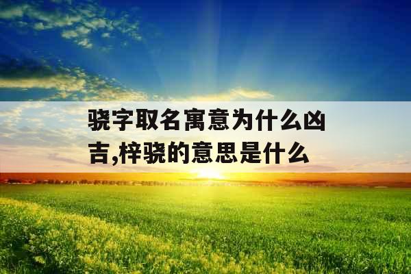 骁字取名寓意为什么凶吉,梓骁的意思是什么 骁字取名寓意为什么凶吉,梓骁的意思是什么