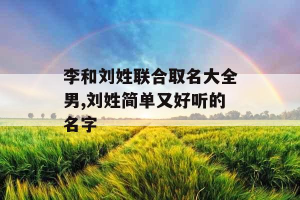 李和刘姓联合取名大全男,刘姓简单又好听的名字