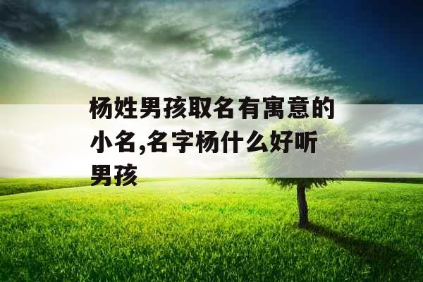 杨姓男孩取名有寓意的小名,名字杨什么好听男孩