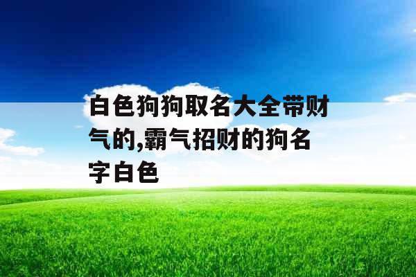 白色狗狗取名大全带财气的,霸气招财的狗名字白色