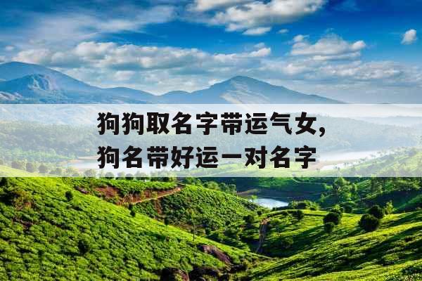 狗狗取名字带运气女,狗名带好运一对名字