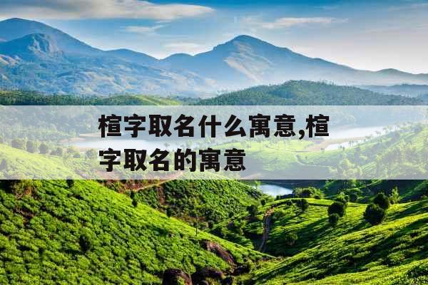 楦字取名什么寓意,楦字取名的寓意