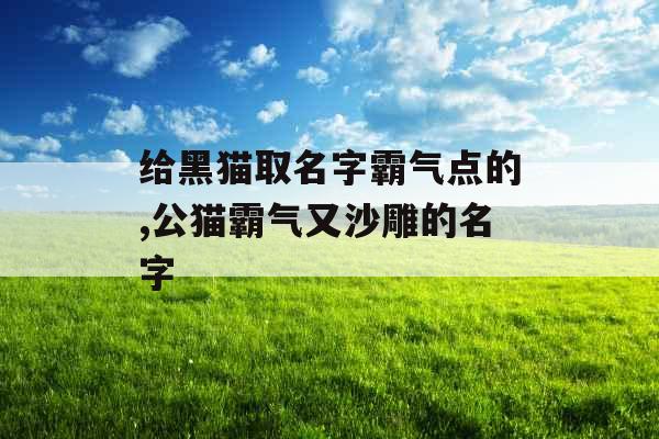 给黑猫取名字霸气点的,公猫霸气又沙雕的名字