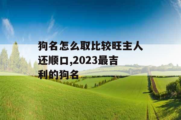 狗名怎么取比较旺主人还顺口,2023最吉利的狗名