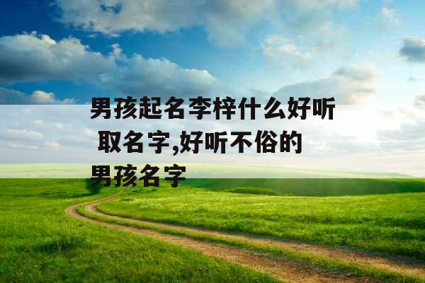 男孩起名李梓什么好听 取名字,好听不俗的男孩名字