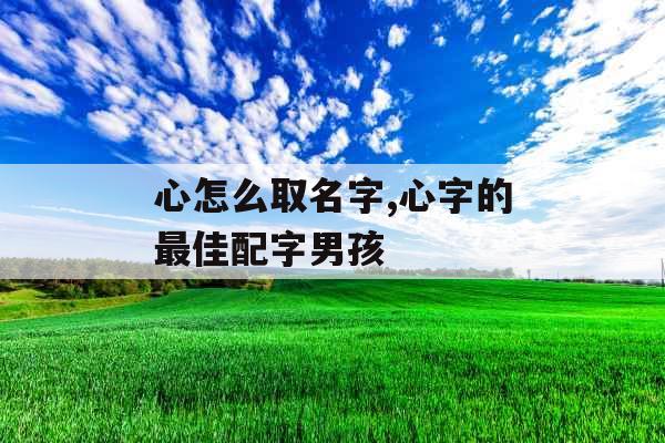 心怎么取名字,心字的最佳配字男孩 心怎么取名字,心字的最佳配字男孩