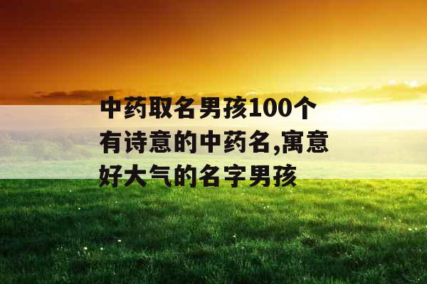 中药取名男孩100个有诗意的中药名,寓意好大气的名字男孩