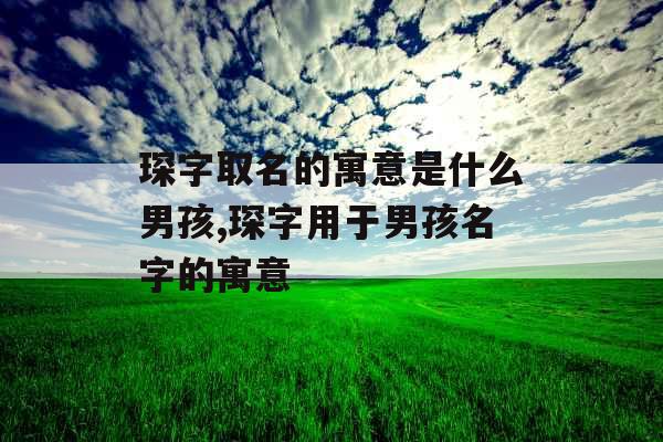 琛字取名的寓意是什么男孩,琛字用于男孩名字的寓意