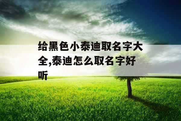 给黑色小泰迪取名字大全,泰迪怎么取名字好听 给黑色小泰迪取名字大全,泰迪怎么取名字好听