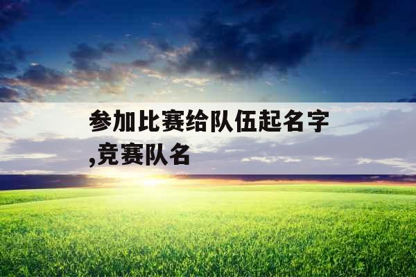 参加比赛给队伍起名字,竞赛队名