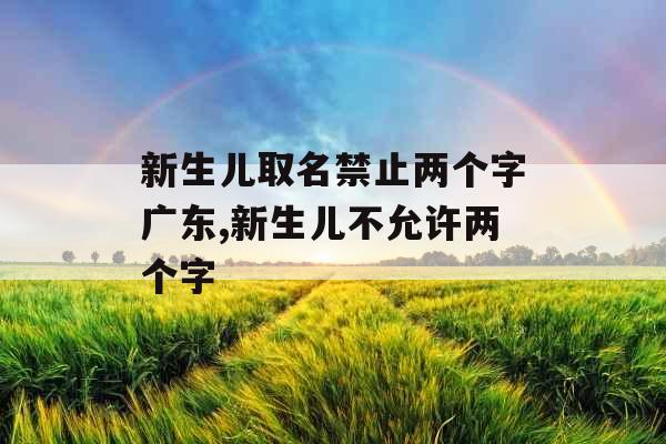 新生儿取名禁止两个字广东,新生儿不允许两个字
