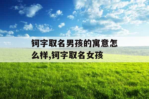 钶字取名男孩的寓意怎么样,钶字取名女孩