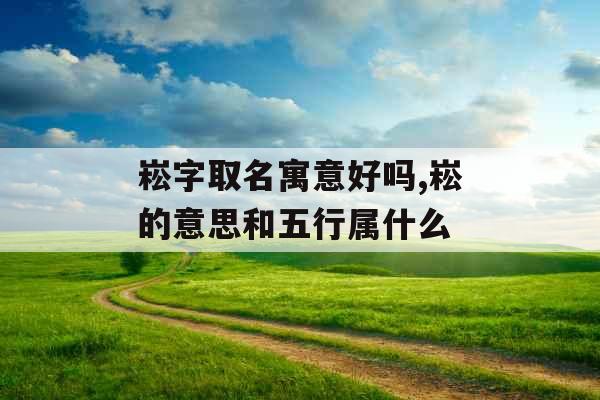 崧字取名寓意好吗,崧的意思和五行属什么