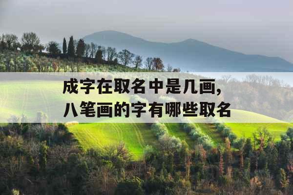 成字在取名中是几画,八笔画的字有哪些取名