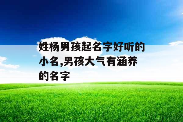 姓杨男孩起名字好听的小名,男孩大气有涵养的名字 姓杨男孩起名字好听的小名,男孩大气有涵养的名字
