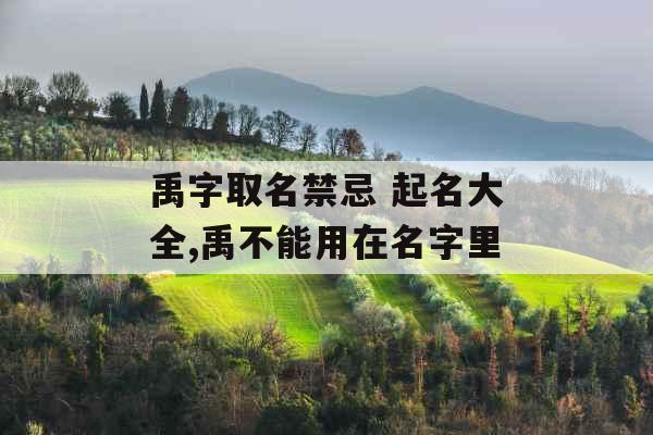 禹字取名禁忌 起名大全,禹不能用在名字里