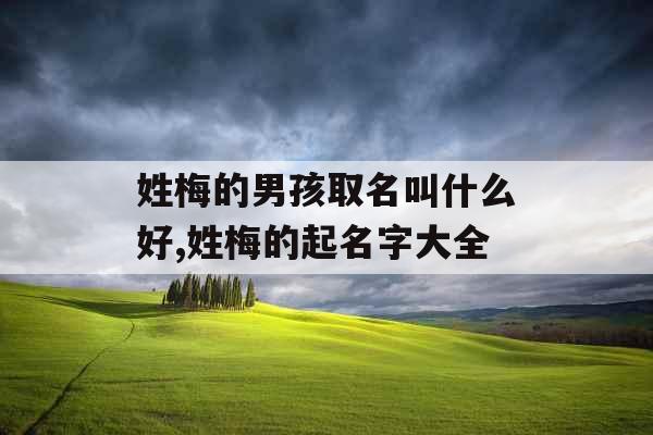 姓梅的男孩取名叫什么好,姓梅的起名字大全