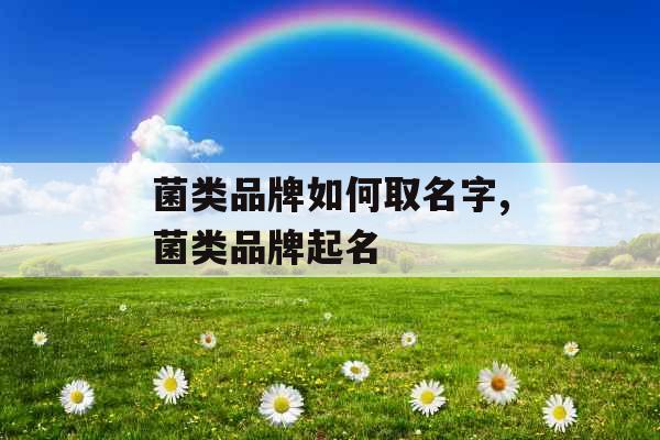 菌类品牌如何取名字,菌类品牌起名