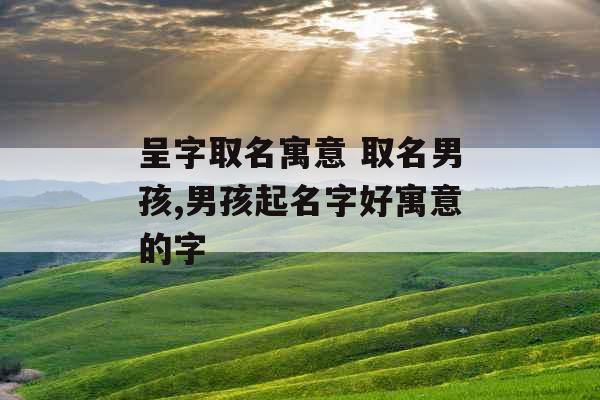 呈字取名寓意 取名男孩,男孩起名字好寓意的字