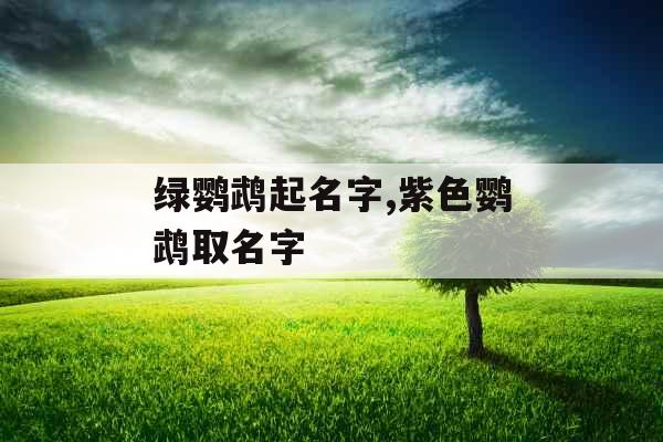 绿鹦鹉起名字,紫色鹦鹉取名字