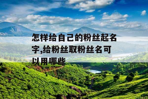 怎样给自己的粉丝起名字,给粉丝取粉丝名可以用哪些 怎样给自己的粉丝起名字,给粉丝取粉丝名可以用哪些