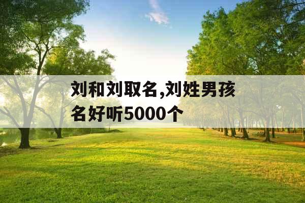 刘和刘取名,刘姓男孩名好听5000个