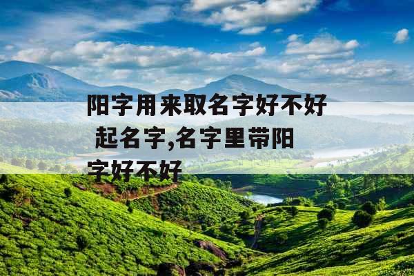 阳字用来取名字好不好 起名字,名字里带阳字好不好